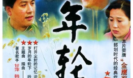 电视剧年轮演员表,实力派演员齐聚，演绎岁月流转的人生故事